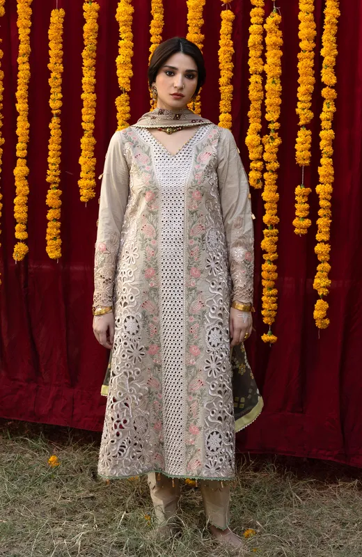 Beige chiffon long shirt with organza panels and Chikankari embroidery – view 1 – Poshaq