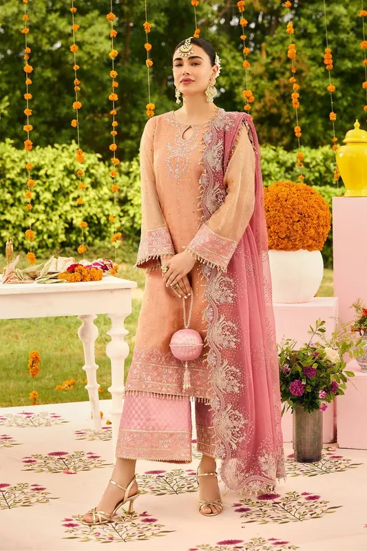 Coral organza dress with grip sleeves and zari net detailing – view 1 – Poshaq