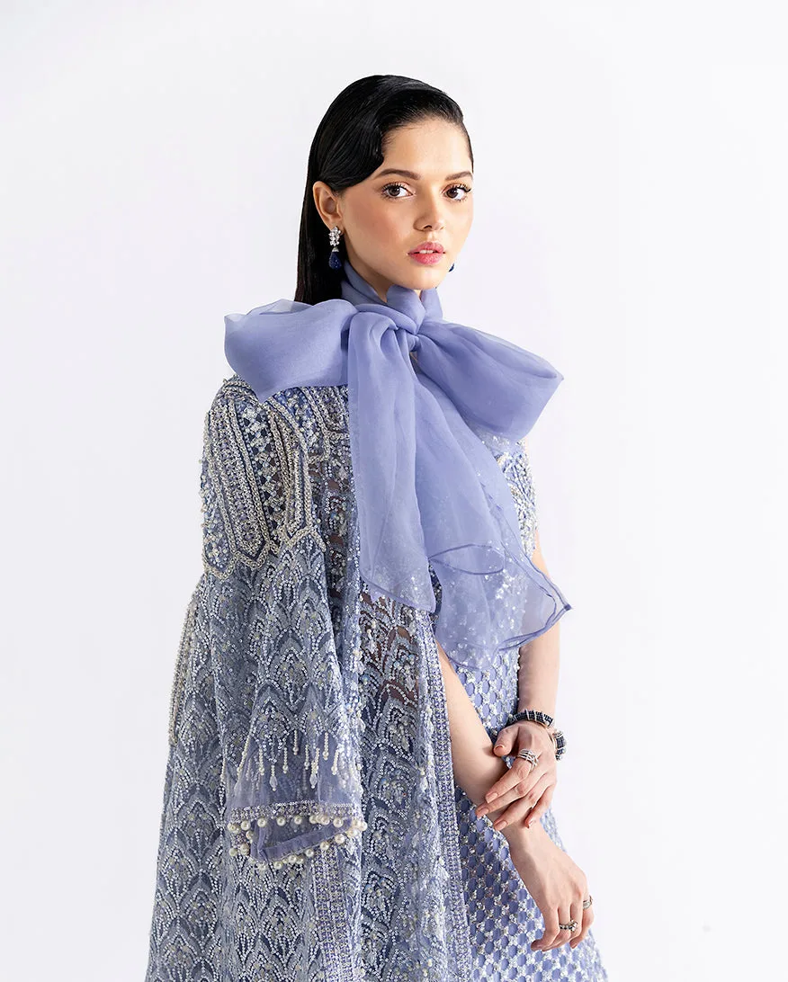 Ammarylis net shirt ensemble with silk slip and organza dupatta – view 4 – Poshaq