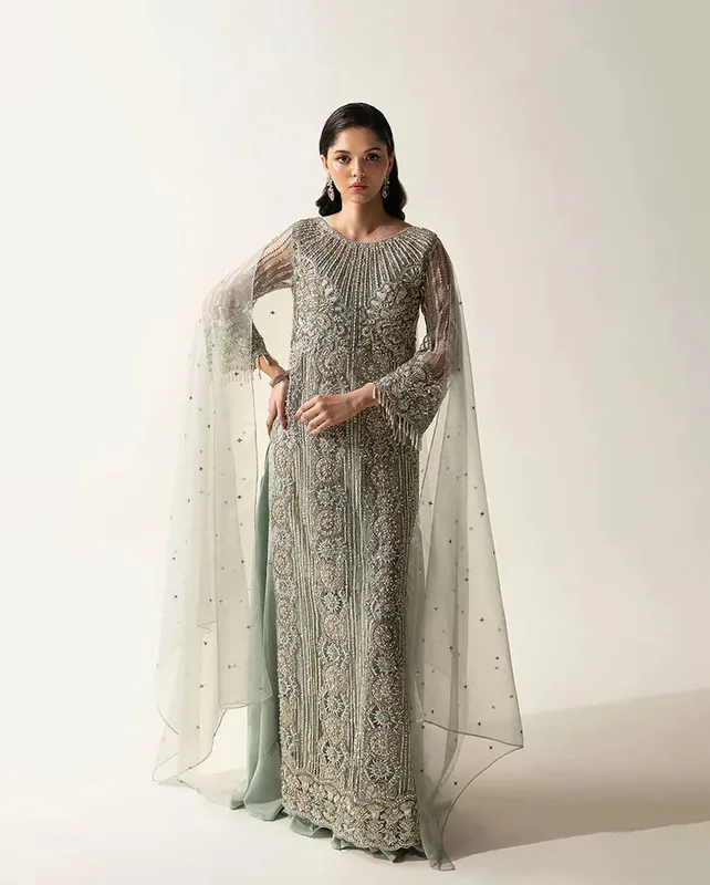 Sheer net formal dress in subtle tone with elegant detailing – view 1 – Poshaq