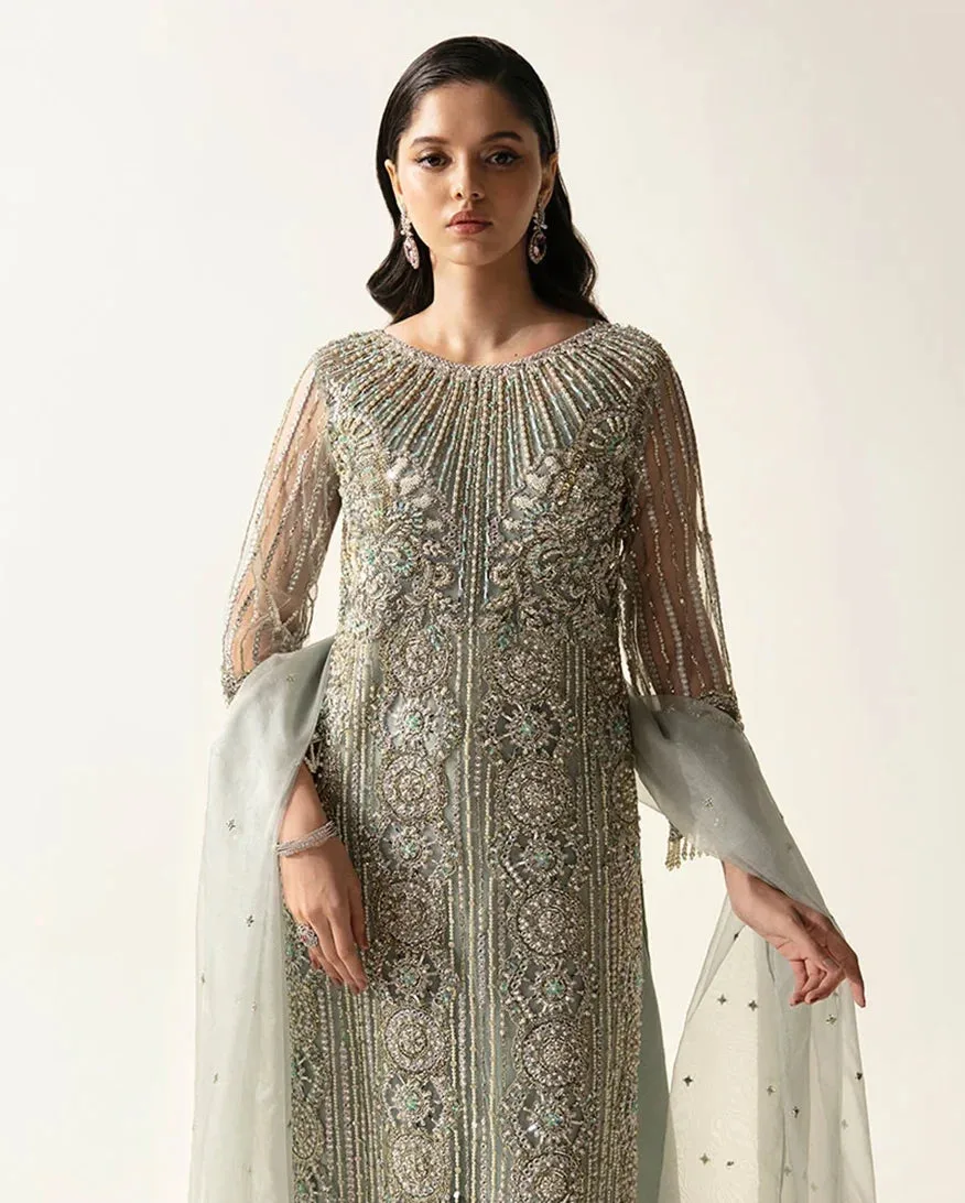 Sheer net formal dress in subtle tone with elegant detailing – view 3 – Poshaq