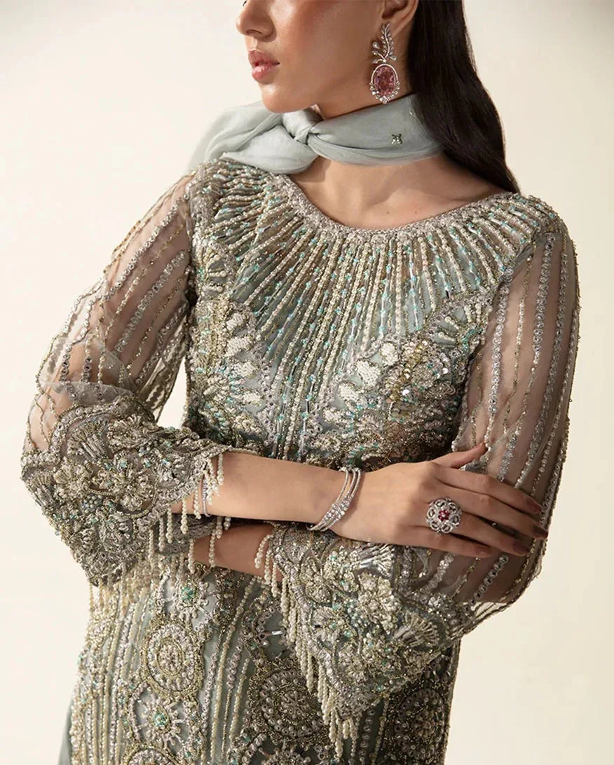 Sheer net formal dress in subtle tone with elegant detailing – view 4 – Poshaq
