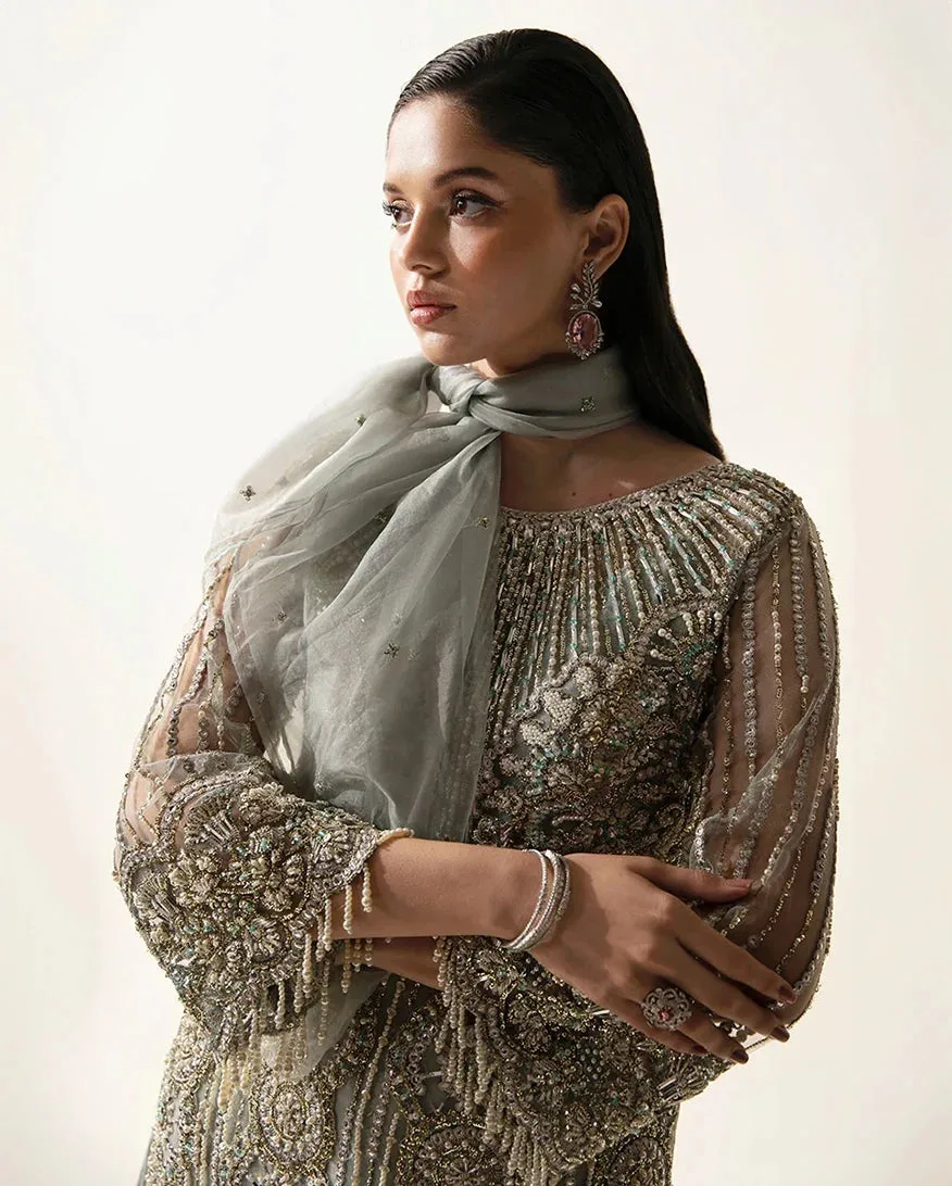 Sheer net formal dress in subtle tone with elegant detailing – view 5 – Poshaq