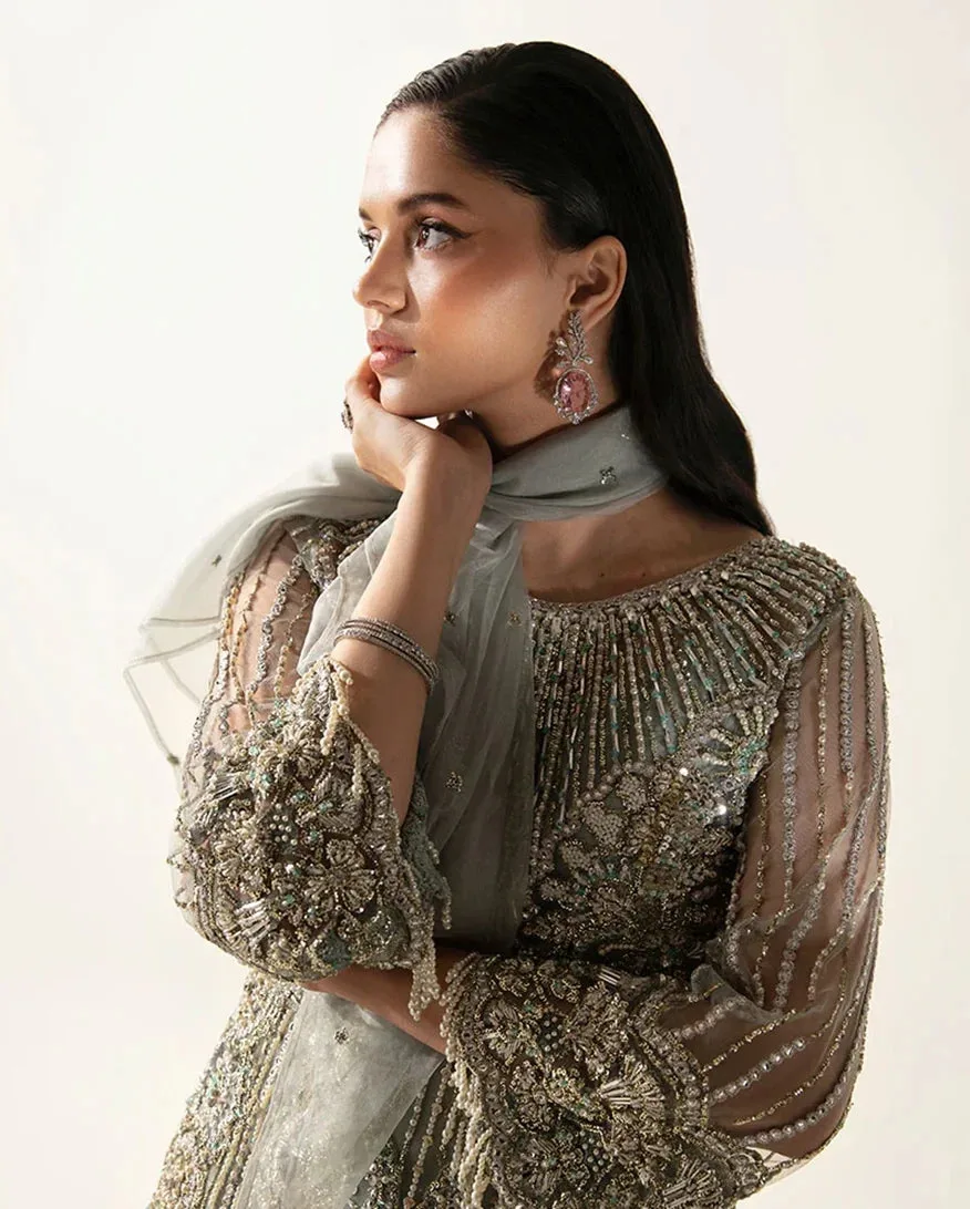 Sheer net formal dress in subtle tone with elegant detailing – view 6 – Poshaq