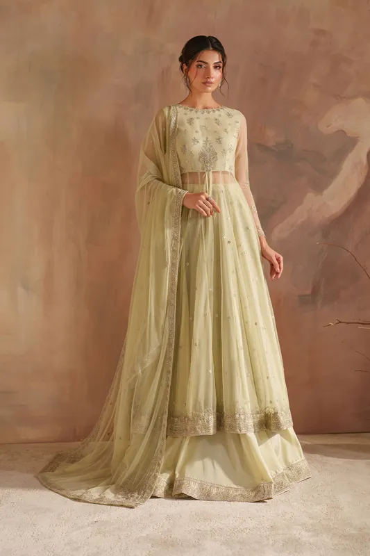 Iznik CC-73 Embroidered Net dress with silk lining – view 1 – Poshaq