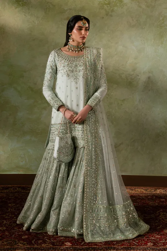 raw silk shirt with net sharara and dupatta in neutral tone – view 1 – Poshaq